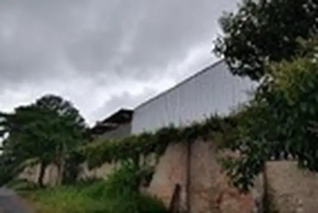 industrial em leilão em São José dos Pinhais