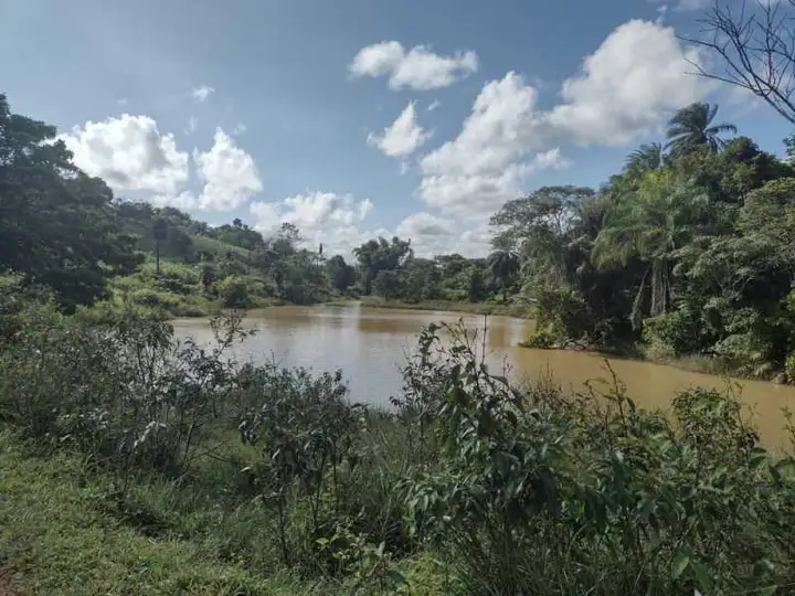 Terreno em leilão em Simões Filho