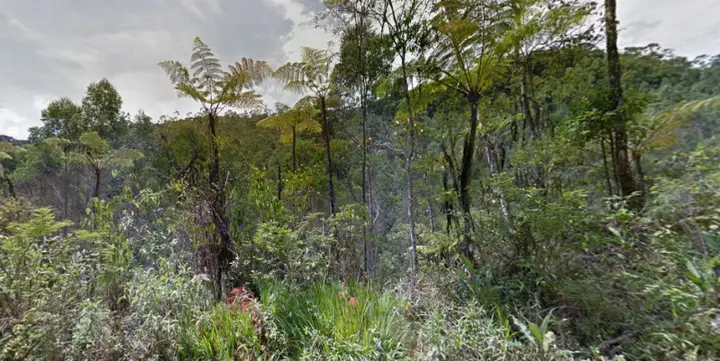 Terreno em leilão em Nova Friburgo