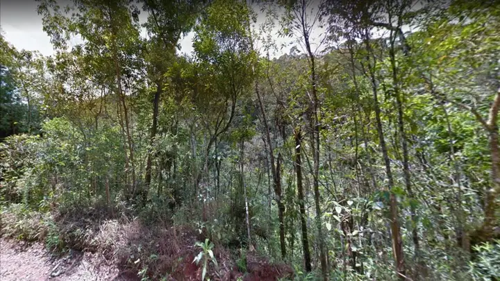 Terreno em leilão em Nova Friburgo