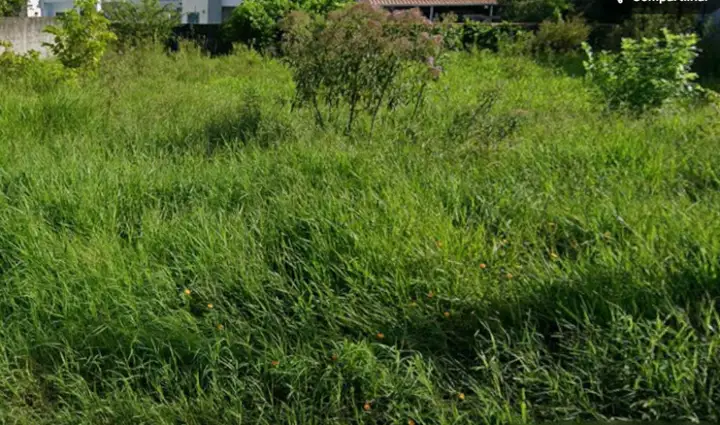 Terreno em leilão em Palhoça