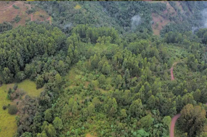 Terreno em leilão em Chapecó