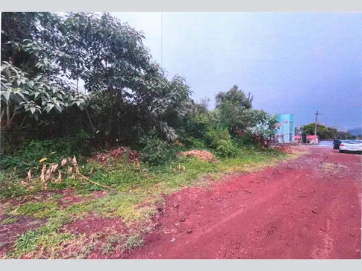 Terreno - Erval Grande - RS