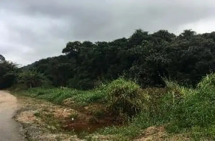 Terreno em leilão em Barueri