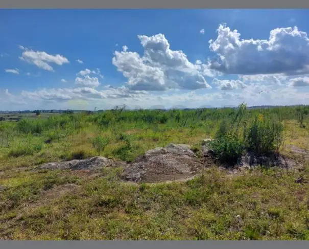 Terrenos em leilão em São Sepé