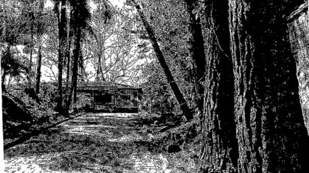 .'.50% de Imóvel Rural de Área 583.950,20m2, Monteiro Lobato/SP.'.