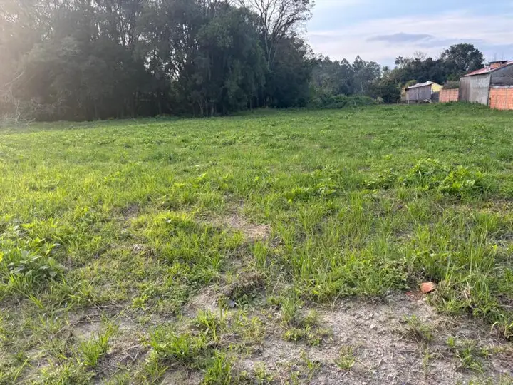 Terreno em leilão em Agrolândia