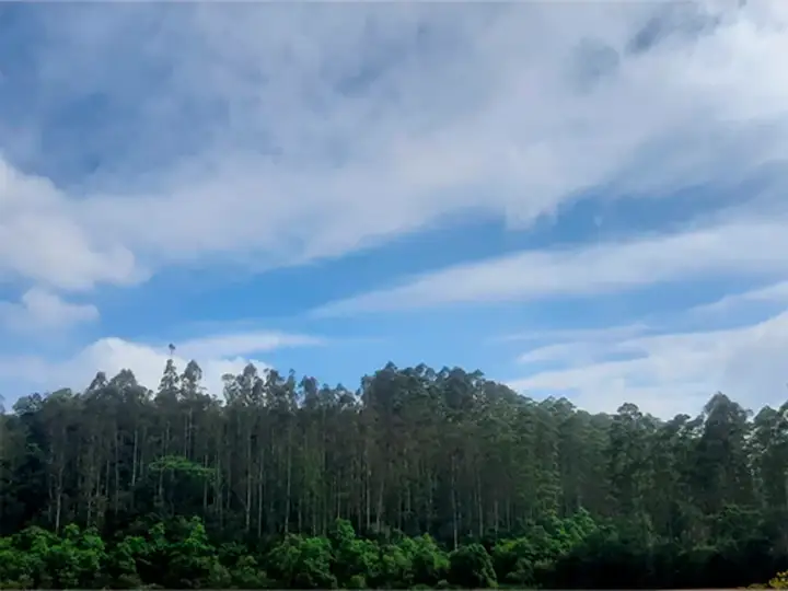 Terreno - Rio do Campo - SC