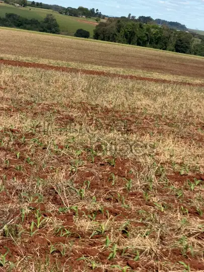 Imóvel em leilão em Santo Ângelo