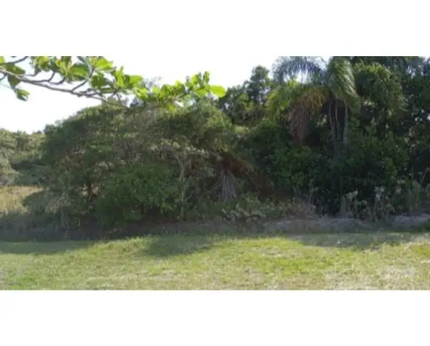 Lote 20 - Ilha Comprida - SP - TERRENO