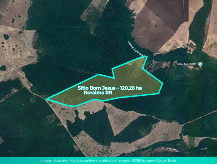 IMÓVEL - SÍTIO BOM JESUS - 139,85ha - ALTO ALEGRE/ RR