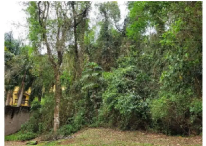 Terreno em leilão em Cotia
