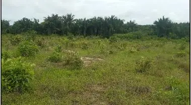 Terreno em leilão em Viana