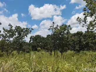 Imóvel em leilão em Luziânia
