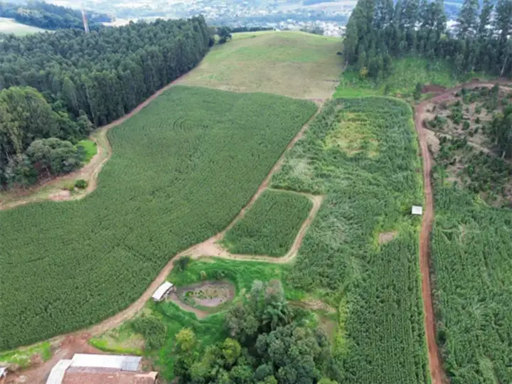 Terreno - Jaborá - SC