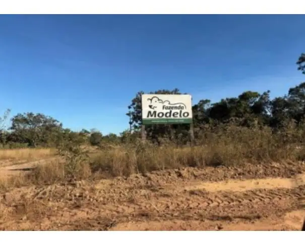 Lote 20 - Colméia - TO - zona rural - Fazenda