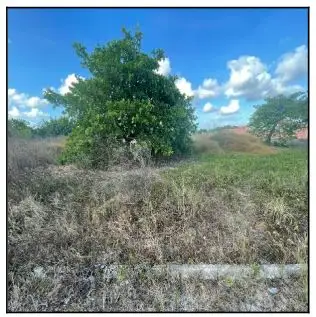 Imóvel em leilão - RUA M, N. 00, QD 13, LT 05 AO 12 e 33 AO 40, DOURADO, HORIZONTE, CE