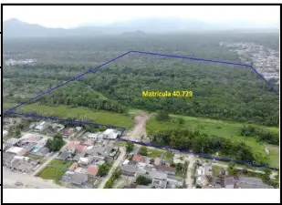 Imóvel rural em leilão em MATINHOS