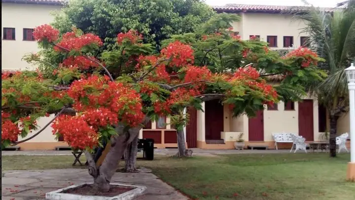 Apartamento em leilão em Cabo Frio