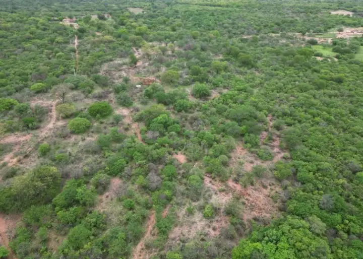 Terreno em leilão em Ouricuri
