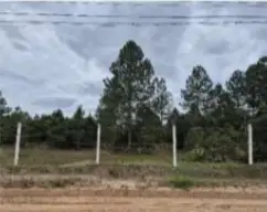 199,66 ha Tetequera, Araquari-Balneário Barra do Sul/SC