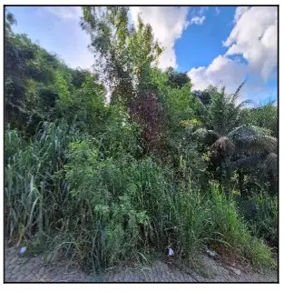 Imóvel em leilão - RUA DIVINO DE SAO LOURENCO, N. S/N, QD 05, LT 19, BELVEDERE, SERRA, ES