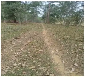 Imóvel rural em leilão em Cataguases