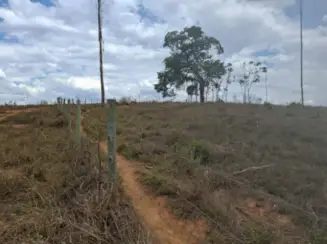Fazenda A.T. 158 ha - Distrito de Esteios, Luz/MG