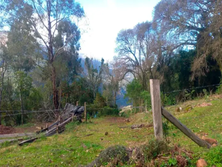 Rural em leilão em Caxias do Sul