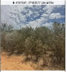 Imóvel rural em leilão em IBIMIRIM