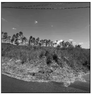 Terreno em leilão em Umuarama