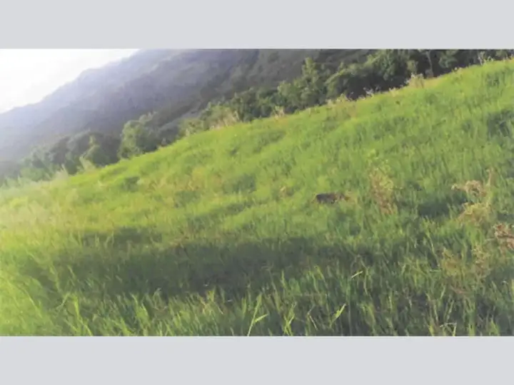 Terreno - Itá - SC