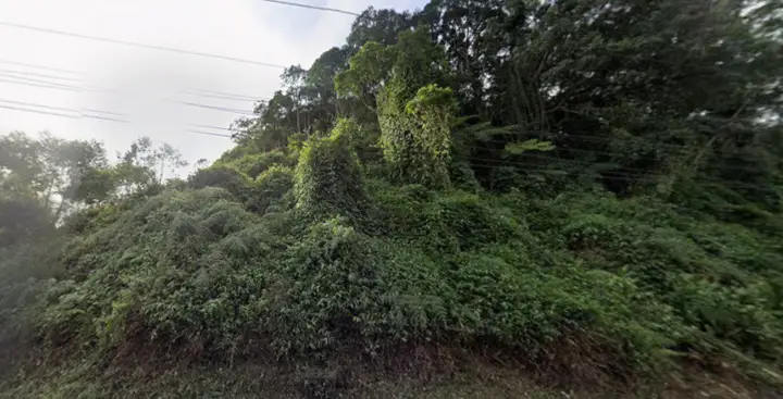 Terreno em leilão em Joinville