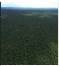 Imóvel rural em leilão em BREJO DO PIAUI