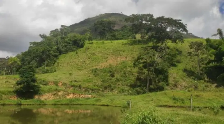 Terreno em leilão em Duas Barras