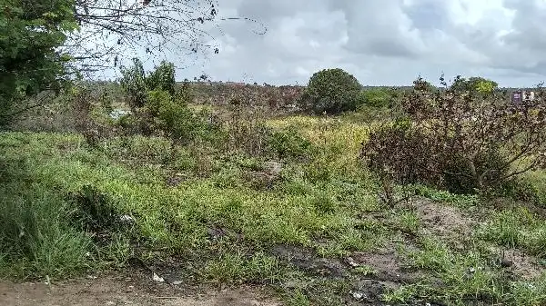 Imóvel em leilão - RUA SANTA EFIGENIA, N. SN, SITIO SANTA EFIGENIA, AREMBEPE ABRANTES, CAMACARI, BA