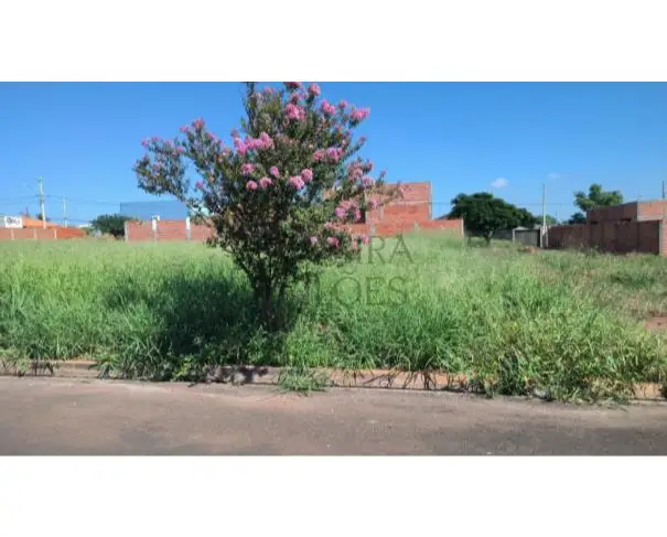 Terrenos em leilão em Colina