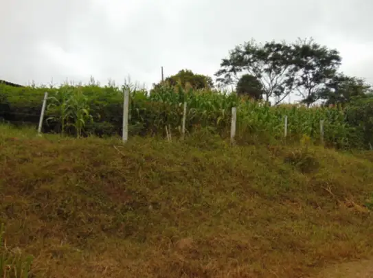 Terreno em leilão em Campos Novos