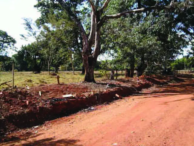 Terreno em leilão em Goiânia