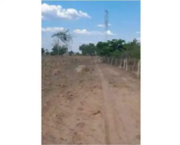 Lote 31 - Presidente Kennedy - TO - zona rural - Fazenda
