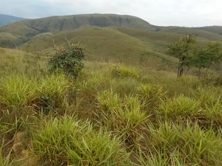 Terreno em leilão em Presidente Olegário
