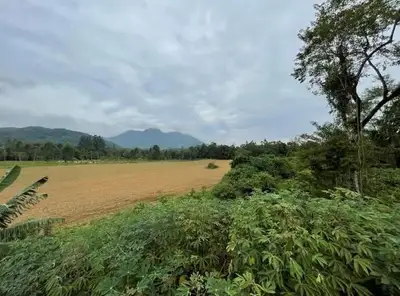 Terrenos Urbanos em leilão em Guaramirim