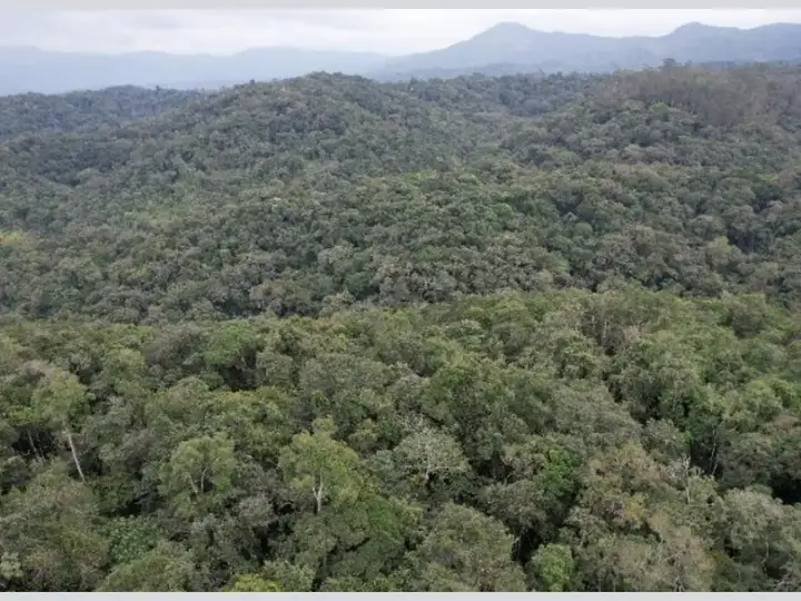 Terreno em leilão em Brusque