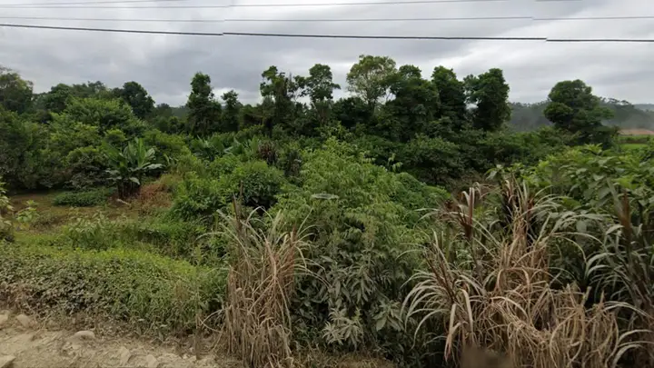 .'. Terreno Rural com Área de 250.000m2 - Mirim Doce/SC .'.