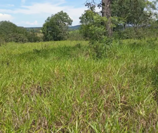 Terreno em leilão em Patos de Minas