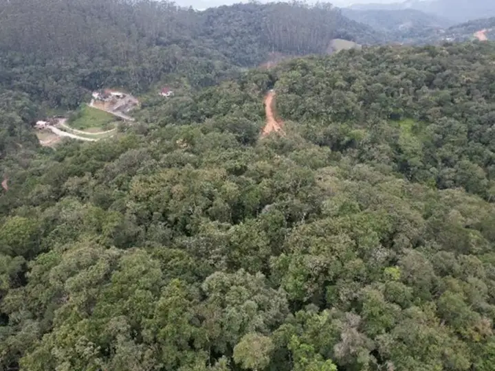 Terreno em leilão em Brusque