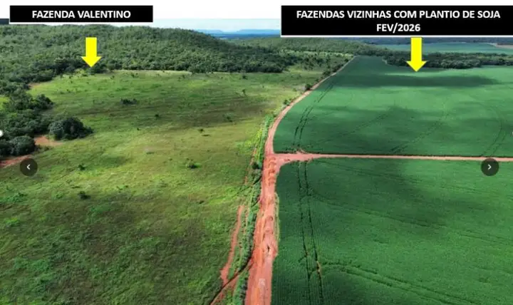 IMÓVEL RURAL COM ÁREA DE 1.899,2700HAS, "FAZENDA VALENTINO", EM ROSÁRIO OESTE/MT