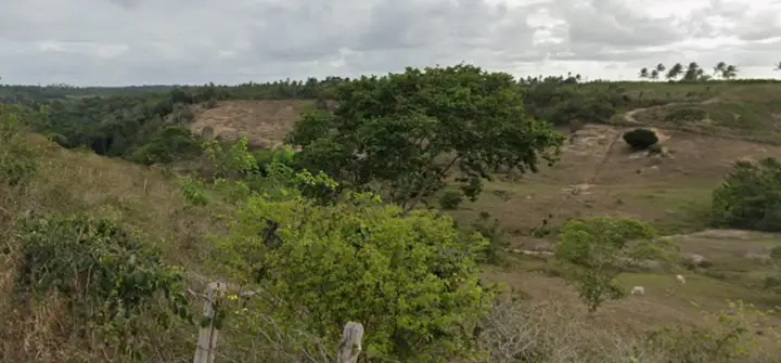 Terreno em leilão em Umbaúba