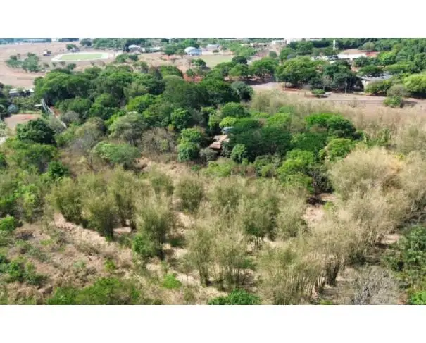 Rurais em leilão em Goiânia
