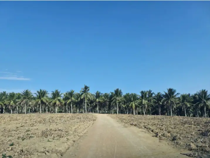 Imóvel Rural em Marataízes-ES